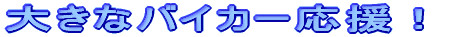 傫ȃoCJ[I