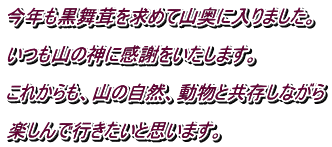 今年も黒舞茸を求めて山奥に入りました。  いつも山の神に感謝をいたします。 　　　　　　　　　　　　　　　　　　　　 これからも、山の自然、動物と共存しながら  楽しんで行きたいと思います。