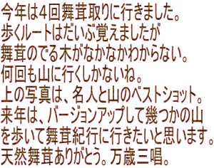 今年は４回舞茸取りに行きました。 歩くルートはだいぶ覚えましたが 舞茸のでる木がなかなかわからない。 何回も山に行くしかないね。 上の写真は、名人と山のベストショット。 来年は、バージョンアップして幾つかの山 を歩いて舞茸紀行に行きたいと思います。 天然舞茸ありがとう。万歳三唱。