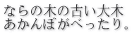 Ȃ̖؂̌Â ڂׂB